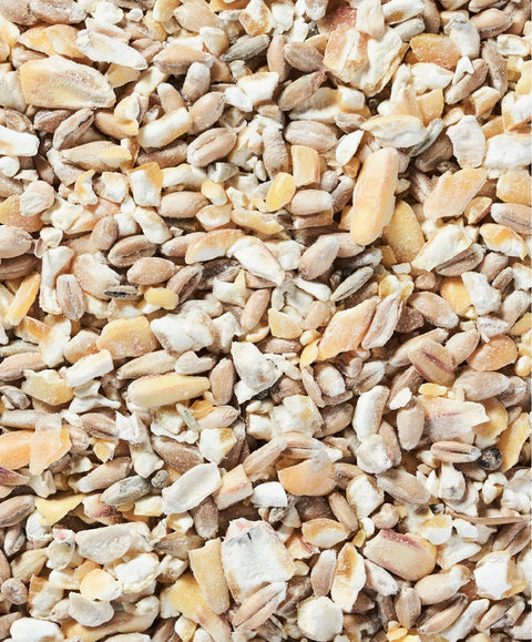 Körnermix Basis - biotauglich