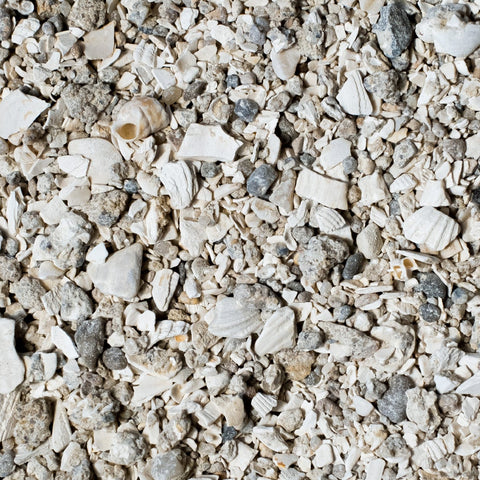 Muschelgrit - biotauglich